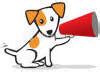 showtime agility|agilitynet shows online.